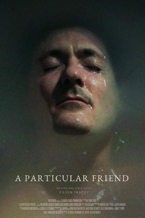 A Particular Friend 2023 official movie poster