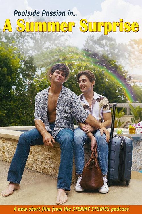 A Summer Surprise 2024 official movie poster