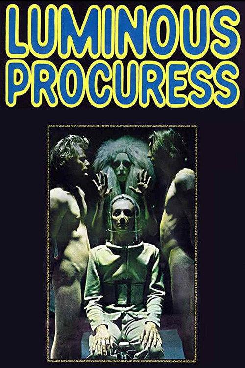Luminous Procuress 1971 official movie poster