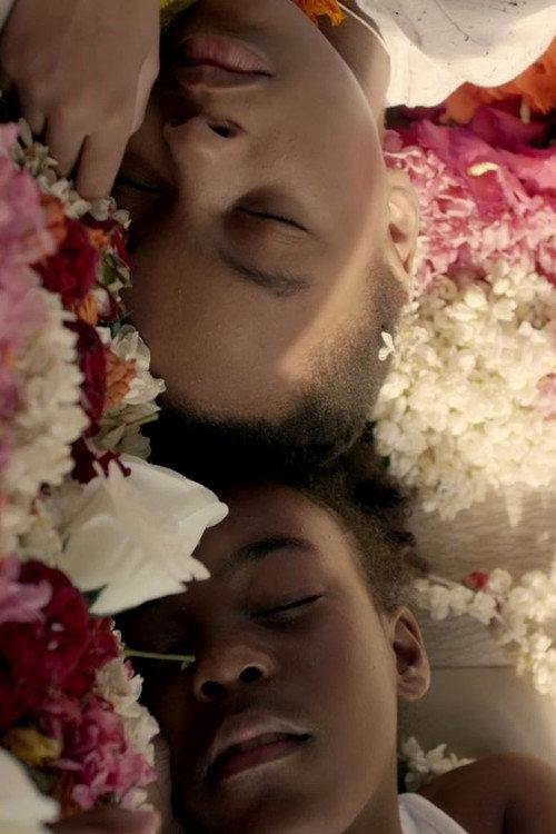 Minerva's Lilies 2016 official movie poster