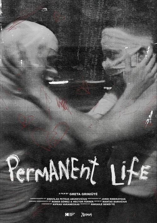 Permanent Life 2025 official movie poster