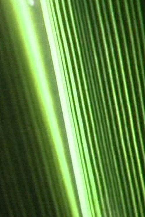 Bump Past Cut Up Through Windows 2004 official movie poster