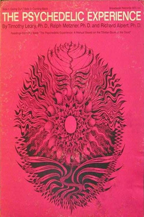 The Psychedelic Experience 1965 official movie poster
