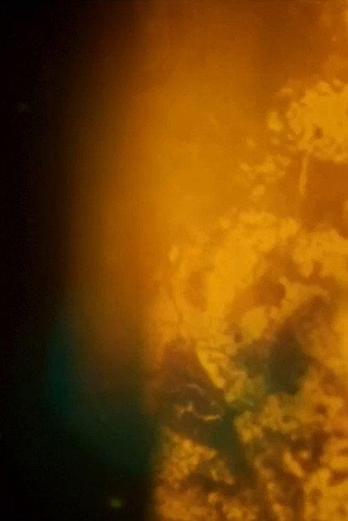 Particles 2020 official movie poster