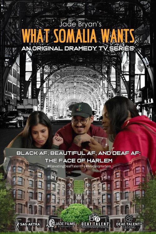 What Somalia Wants official movie poster
