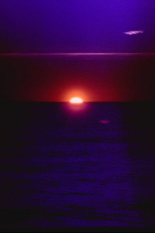 solar wave 2026 official movie poster