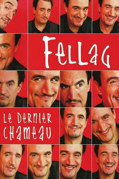 Le Dernier chameau 2004 official movie poster
