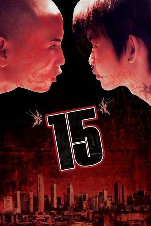 15 2003 official movie poster