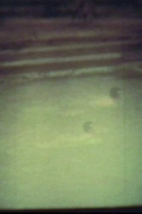 In The River 1970 official movie poster