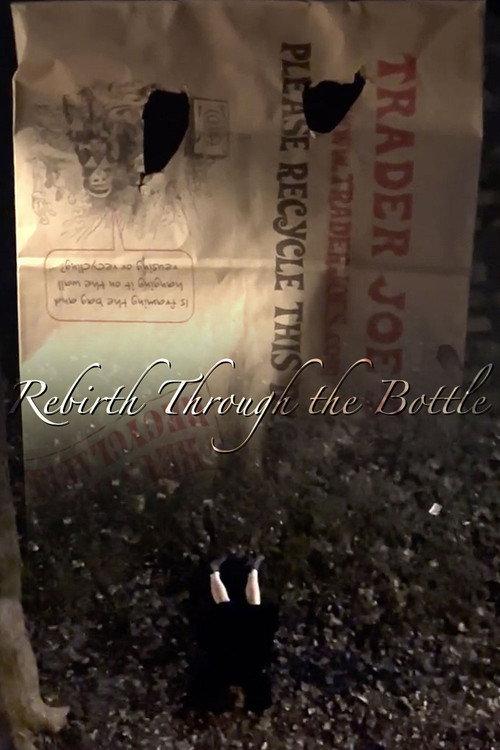Rebirth Through The Bottle 2024 official movie poster