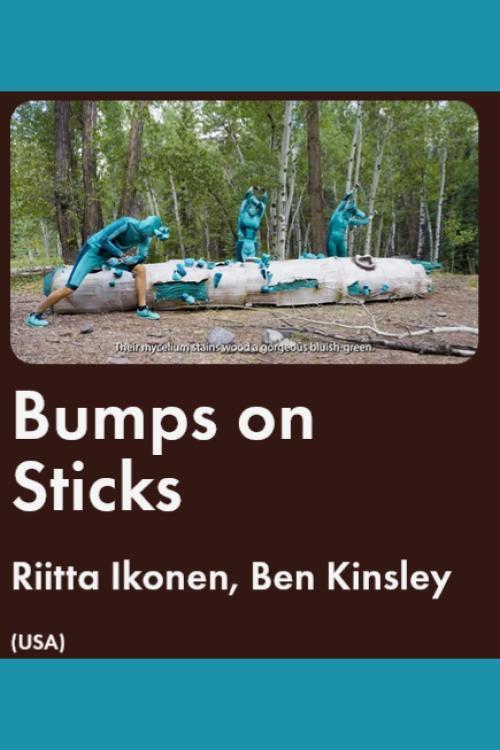 Bumps on Sticks 2025 official movie poster