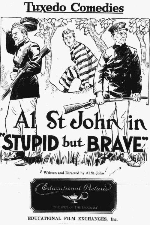 Stupid, but Brave 1924 official movie poster