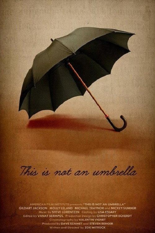 This is Not an Umbrella 2011 official movie poster