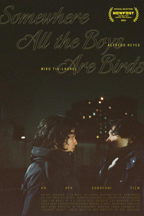 Somewhere all the boys are birds 2023 official movie poster