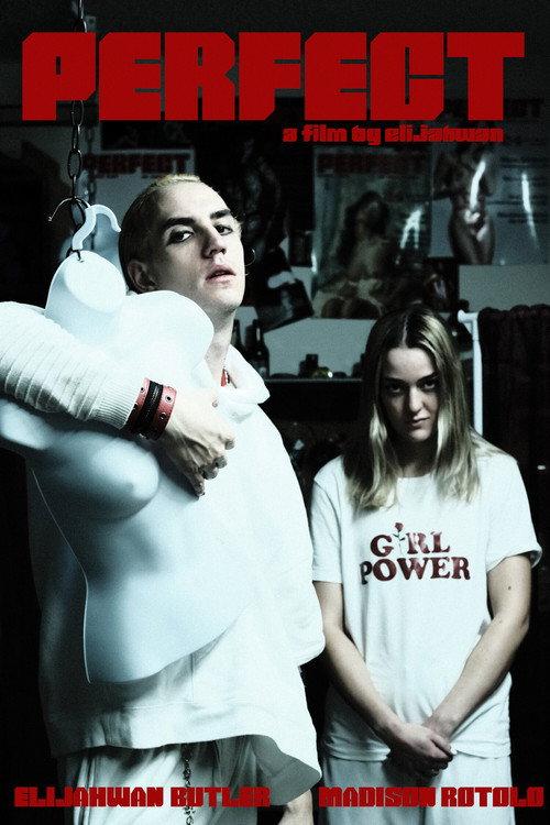 Perfect 2021 official movie poster