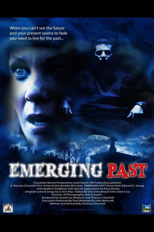 Emerging Past 2011 official movie poster