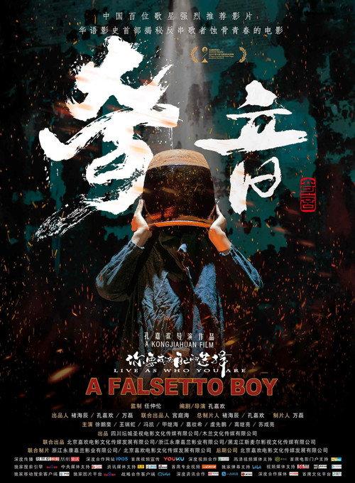 A Falsetto Boy 2025 official movie poster