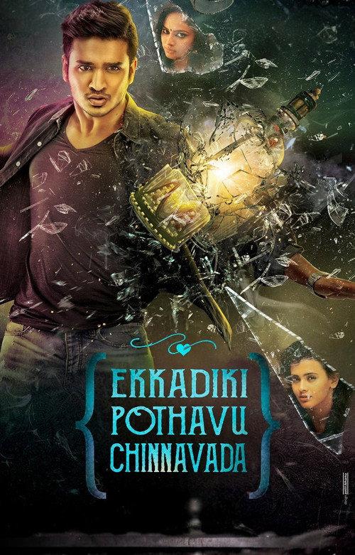 Ekkadiki Pothavu Chinnavada 2016 official movie poster