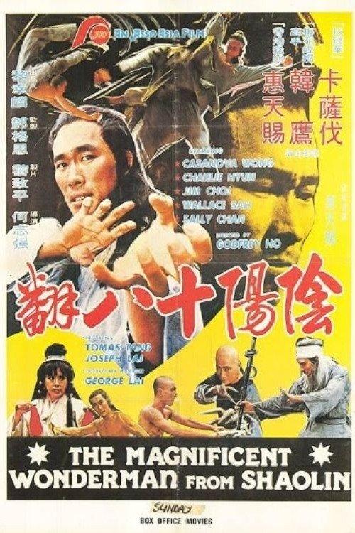 Magnificent Wonderman 1978 official movie poster