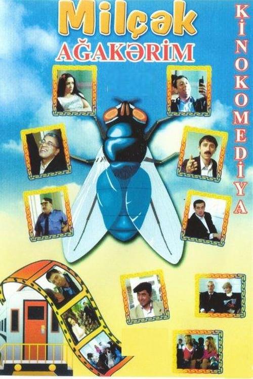 Fly 2006 official movie poster