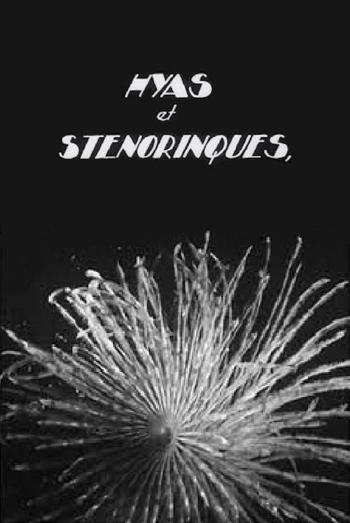 Hyas and Stenorhynchus 1929 official movie poster