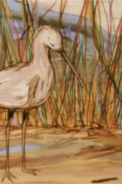 The Way Of The Birds 2000 official movie poster