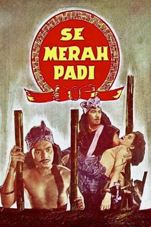 Semerah Padi 1956 official movie poster