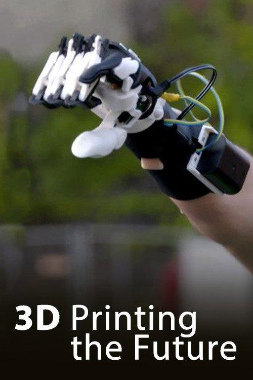 3D - Printing the future 2017 official movie poster