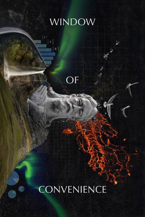 Window of Convenience 2020 official movie poster
