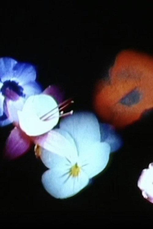 Bloemschikken 1999 official movie poster