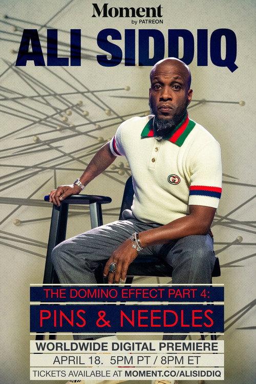 Ali Siddiq: The Domino Effect 4: Pins & Needles 2024 official movie poster
