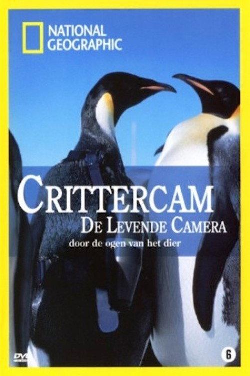 Crittercam 2004 official movie poster