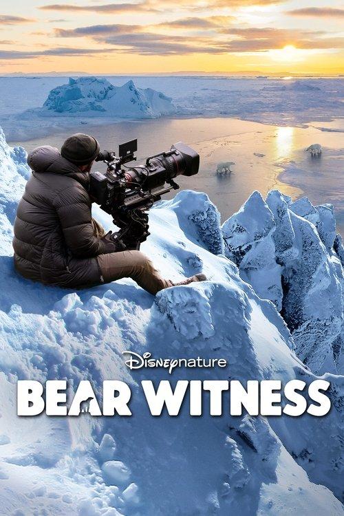 Bear Witness 2022 official movie poster
