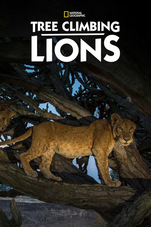 Tree Climbing Lions 2018 official movie poster