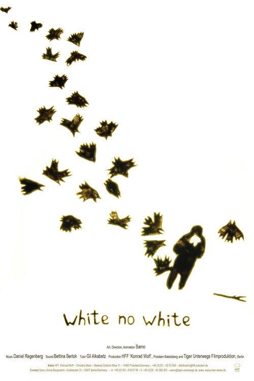 White no White 2010 official movie poster