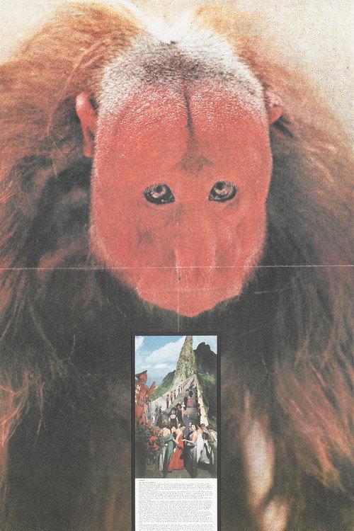 Gli atti fondamentali. Cerimonia 1973 official movie poster