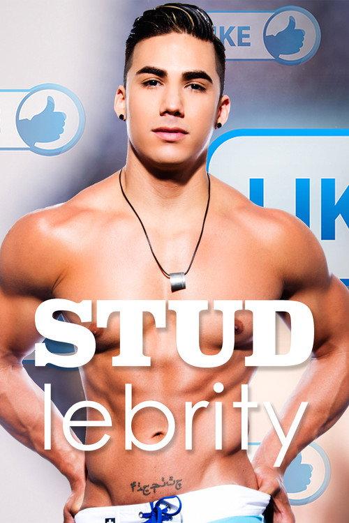 Studlebrity 2014 official movie poster