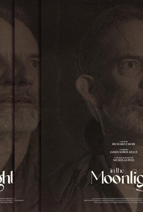 In The Moonlight 2023 official movie poster