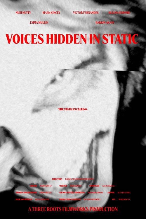 Voices Hidden in Static 2025 official movie poster