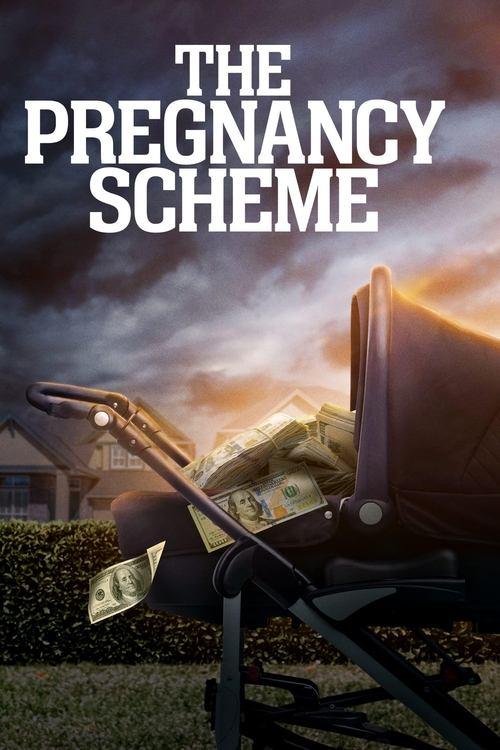 The Pregnancy Scheme 2023 official movie poster