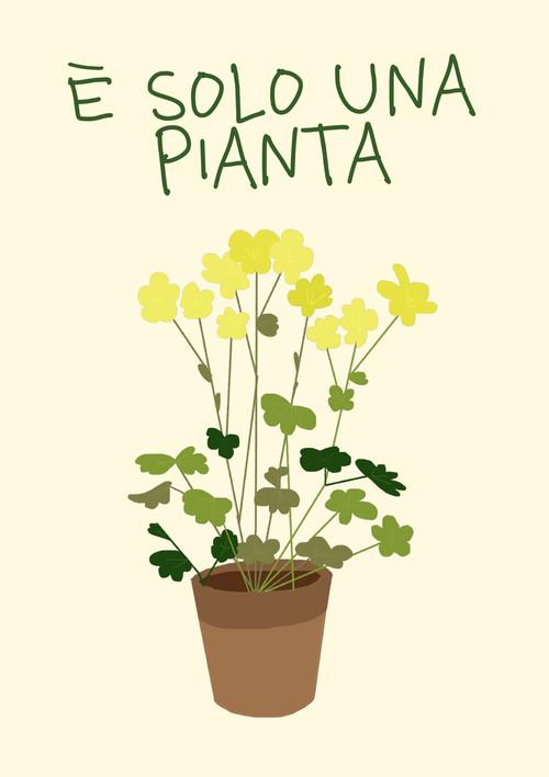 È solo una pianta 2026 official movie poster