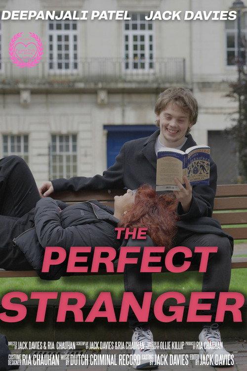 The Perfect Stranger 2024 official movie poster