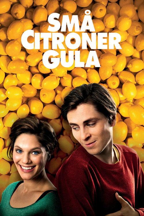 Love and Lemons 2013 official movie poster