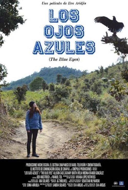 The Blue Eyes 2013 official movie poster