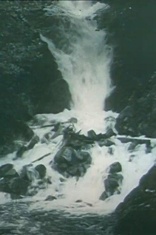Through the Alb Valley to Sankt Blasien 1911 official movie poster