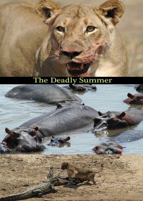 Deadly Summer 2006 official movie poster