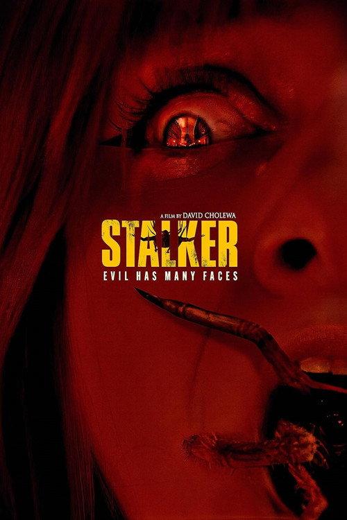 Stalker 2025 official movie poster