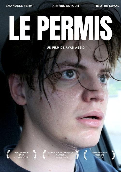 LE PERMIS  official movie poster