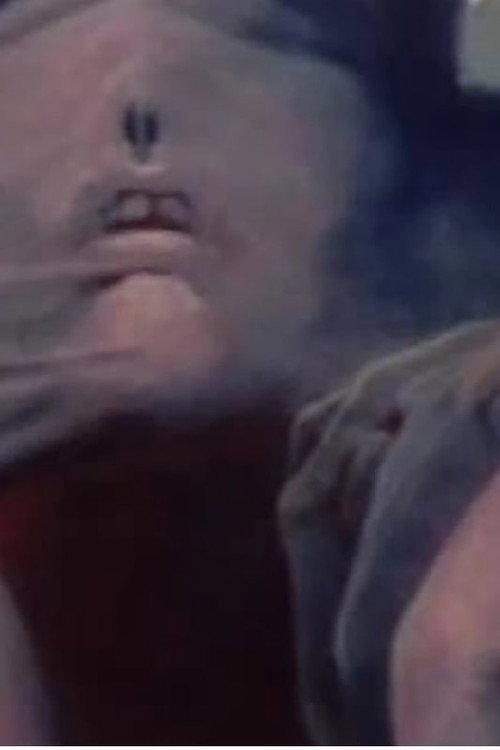 Hommage à Beksinski 1985 official movie poster