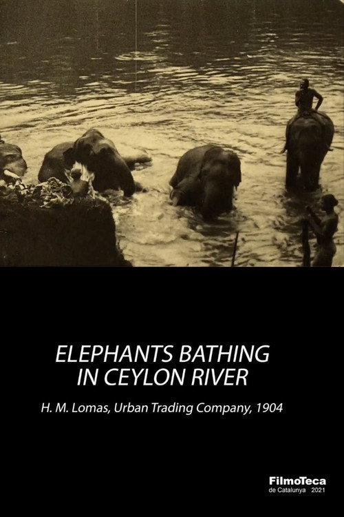 Elephants Bathing in Ceylon River 1904 official movie poster